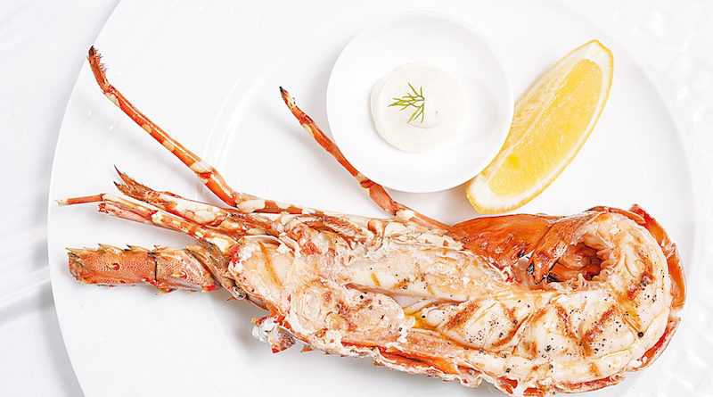 01 Cafe Cardinal Crustacean Extravaganza 2