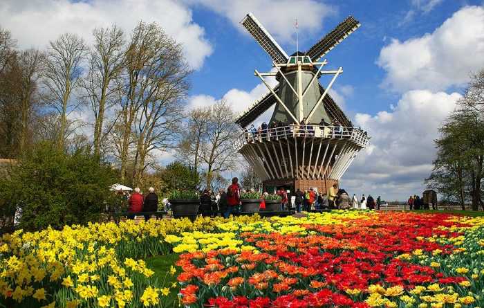 WOMENLIFELe hoi Keukenhof