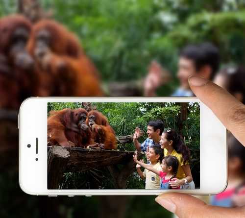 womenlifeWildlife reserved Singapore