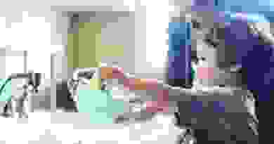timthumb.php