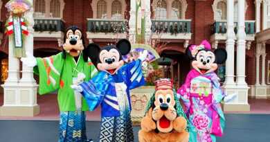 womenlifeTokyo Disneyland 1 Day Ticket RckS8