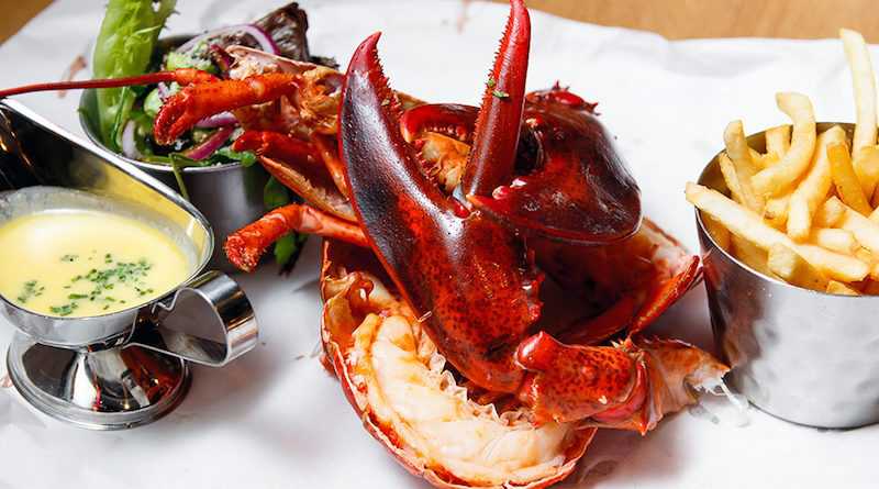 Canadian lobster 2