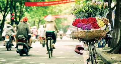W Gia tri Ha Noi Giadinh 2017 768x512