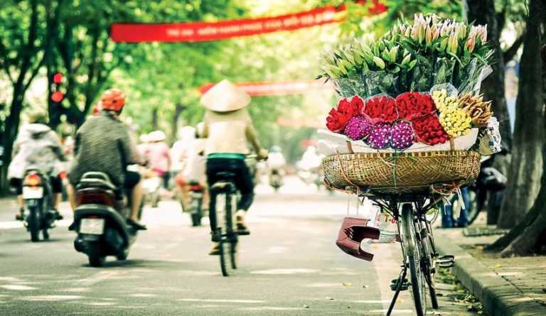 W Gia tri Ha Noi Giadinh 2017 768x512