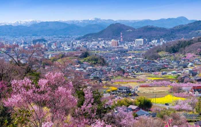 wHanamiyama park 1