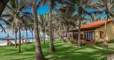 pandanus 3