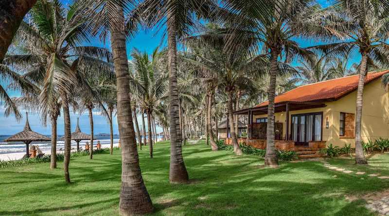 pandanus 3