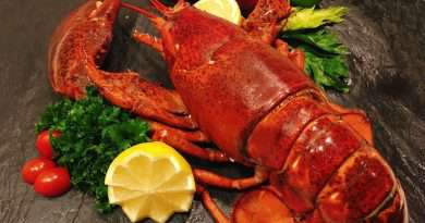 seafood dinner buffet 3