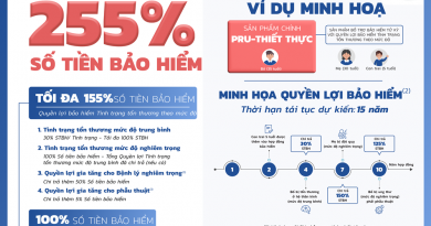 Minh họa 255 STBH final