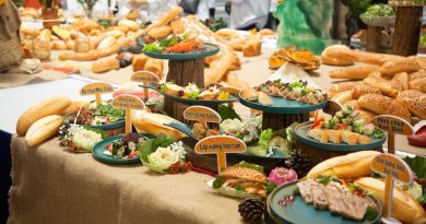 Điểm nhấn của Lễ Hội là chương trình công diễn 105 món ăn kèm bánh mì thể hiện sự đa dạng và sáng tạo không ngừng trong món ăn đặc biệt này