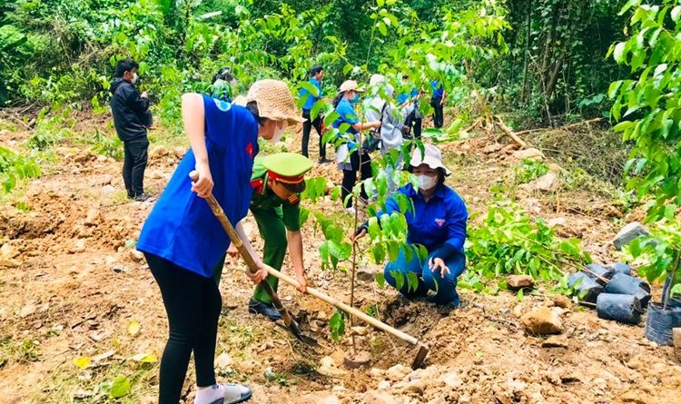 PepsoCo Triệu cây xanh vì một Việt Nam xanh 13