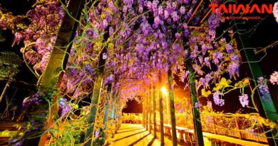 Phu nu hien dai du lich dai loan 06