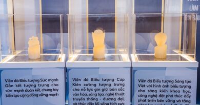 Bo suu tap Vien Da Bieu Tuong duoc lam tu bia Sai Gon dai dien cho 6 linh vuc cua giai thuong 1