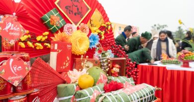 Mam co Tet tu phan thi cua nguoi dan tinh Nghe An